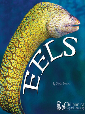 cover image of Eels